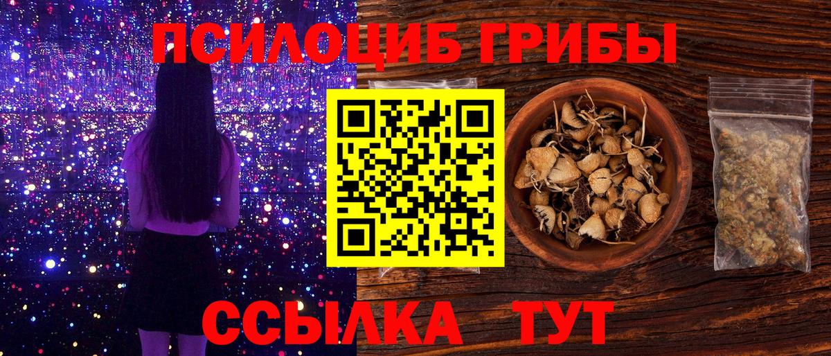 Псилоцибиновые грибы прущие грибы Кстово