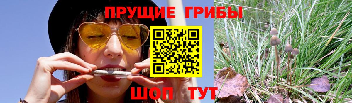 Галлюциногенные грибы ЛСД  Вход с VPN  Кстово 